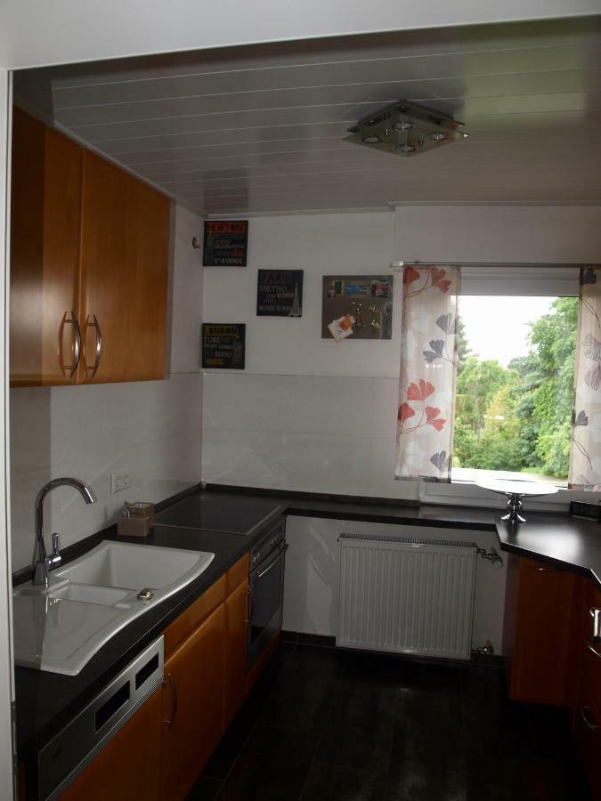 Sc Apartment - Nuernberg Messe / Fraenkisches Seenland Schwabach Eksteriør billede